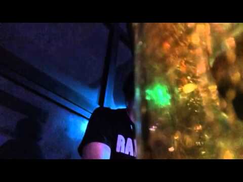 Stefano Gambarelli Aka Gambafreaks