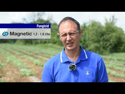 Rešenje protiv plamenjače krompira i paradajza