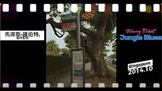 《Jungle Blues》 新古典主義爵士  Neoclassicism Jazz - Marcus Robert. 《叢林布魯斯》 美國爵士鋼琴家馬庫斯·羅伯茨