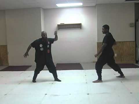 Taijutsu body dodge