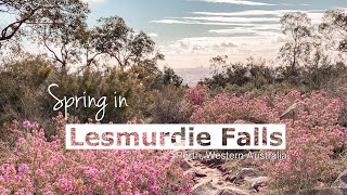 Spring in Lesmurdie Falls National Park, Western Australia