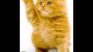 Moby - Little Idiot [1996] - 05 - A Season In Hell