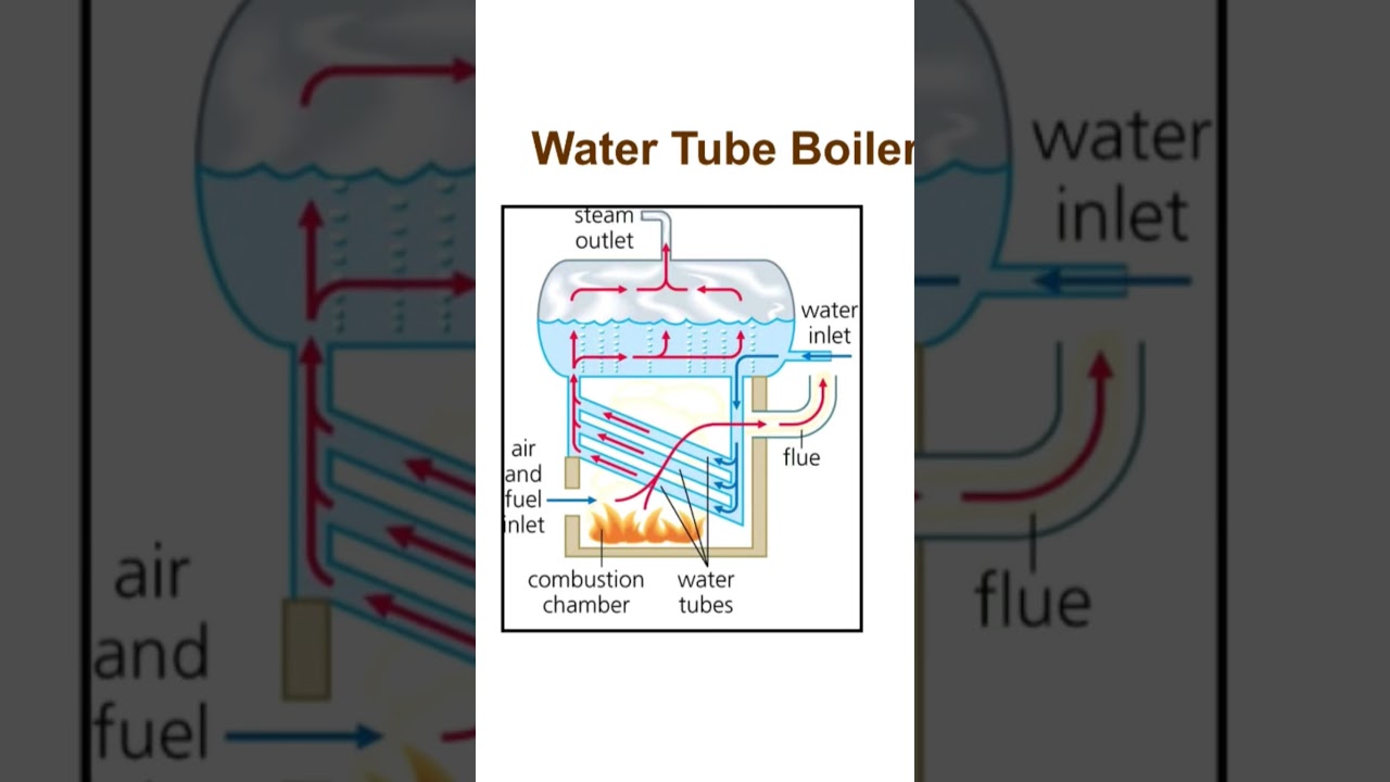 Water tube boiler