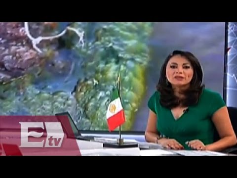 Resumen de noticias de hoy viernes 12 de septiembre / Vianey Esquinca
