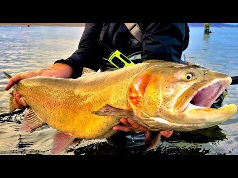 The Secret to Fly Fishing Pyramid Lake - Landed one of the BIGGEST Cutthroat in the WORLD!!