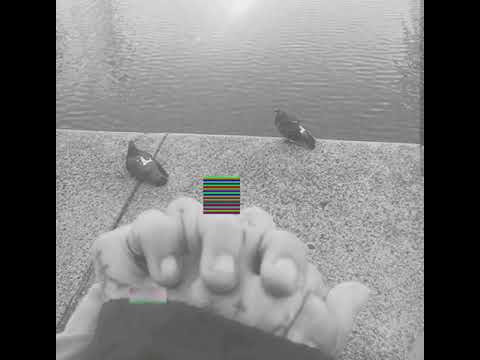 Nimos Chyper #1 (Audio No Oficial)