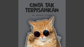 Download lagu Cinta Tak Terpisahkan mp3