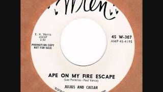 1950's Novelty Bopper  APE ON MY FIRE ESCAPE  by JULIUS and CAESAR