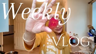 VLOG✨Seasonal fruits, Costco Shopping and Backyard Family-time