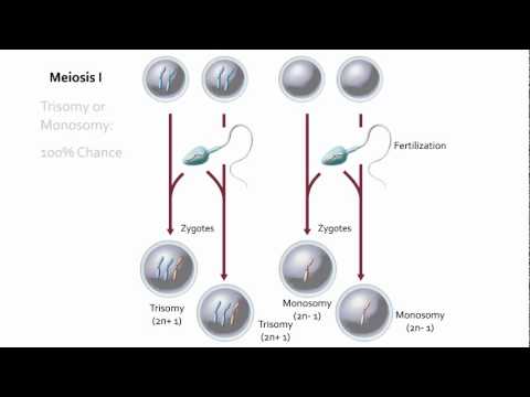 Visualizing Nondisjunction