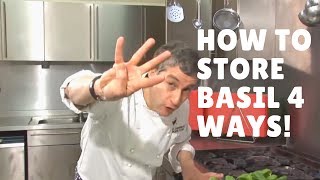 How To Store Basil - Four Ways!