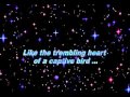 First time ever i saw your face- George Michael (lyrics)