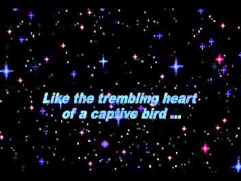 download lagu mp3 mp4 The First Time I Saw Your Face Lyrics, download lagu The First Time I Saw Your Face Lyrics gratis, unduh video klip The First Time I Saw Your Face Lyrics