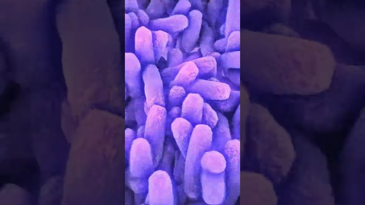 Alejandro Meneses Parga-81