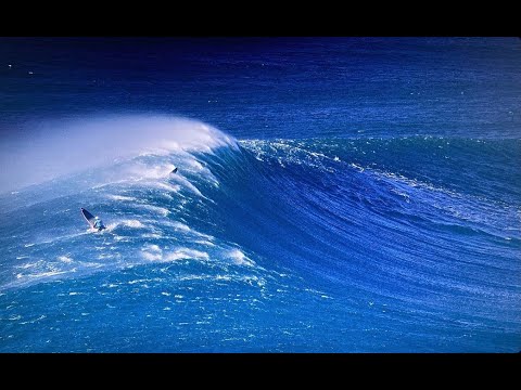 Salty Pete TV and Treeswax