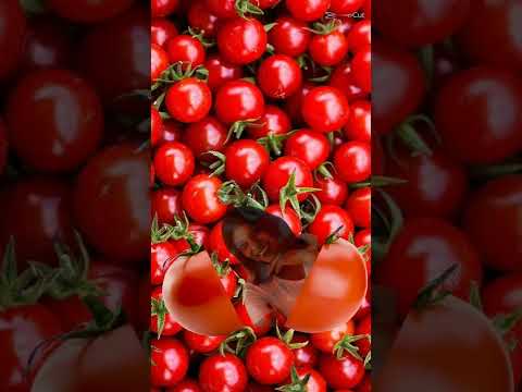 #shorts/tomate/vermelho.