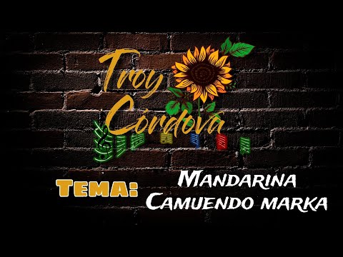 INTI RAYMI MANDARINA (CAMUENDO MARKA) | Tutorial Inti Raymi en Melódica | Troy Córdova