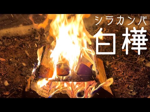 ヨーロッパの干ばつ:ガースト氏が「塵、砂、煙」の写真を見せる