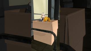 虎金妃笑虎 - 誰かに拾ってもらおうとしたら親フラだよ… #虎のいる生活