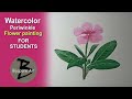 How To Draw Periwinkle Flower Watercolor Painting Watercolor Periwinkle Painting For Beginners