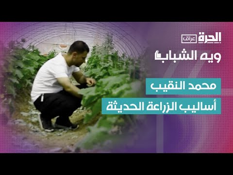 فيديو | ويه الشباب | محمد النقيب .. من أنقاض الحرب إلى الابتكار