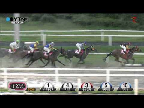 YTN Cup 2014 - Big Power