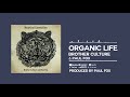 Brother Culture & Paul Fox - Organic Life [Official Audio]