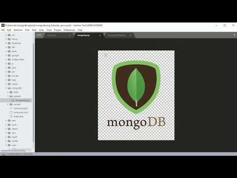 Save single document in mongodb with file upload in php part3