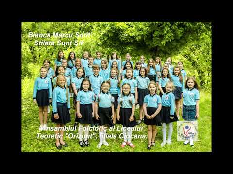 „În Grădina cu Flori Multe” - Bianca Marcu Sunt stilată sunt șik