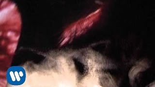 Los Piratas - Inerte (videoclip)