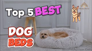 Top 5 Pet Beds for 2026