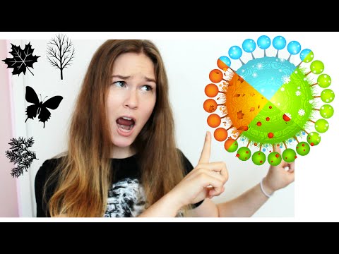 Learn the MONTHS in Finnish | KatChats