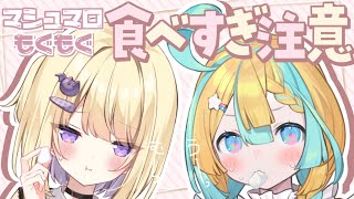 開始 - 【🍫マシュマロ雑談】2人がマシュマロ見ながらお菓子をいっぱいもぐもぐ【VTuber/天川はの/月紫アリア】