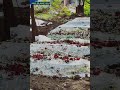Be Namazi Qabar MeKya Hota Hai Powerofislam Youtubeshorts 2023islamic Qabar Ka Azab Status