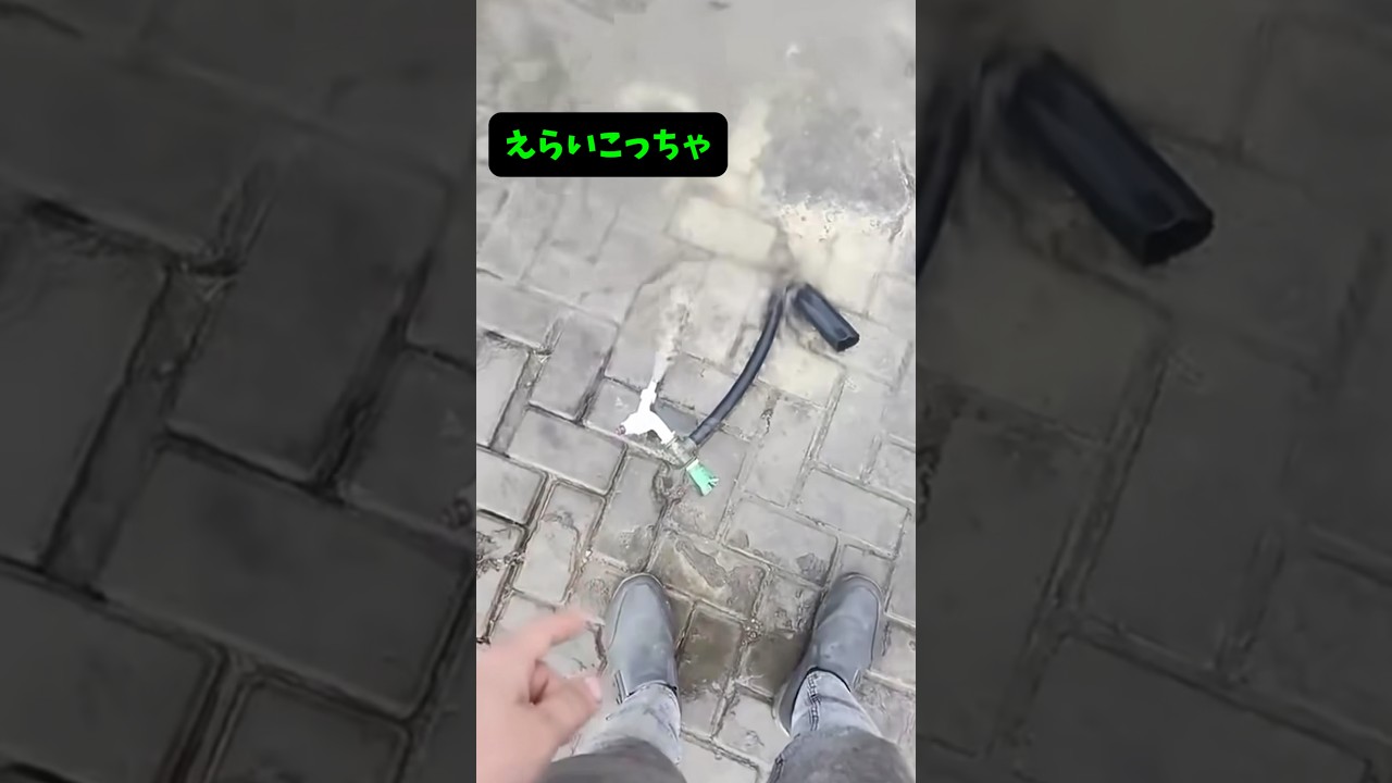 【皆様、気をつけて】#水 #浪費 #大変 #もったいない #comedy #shorts #洪水 #まさか #予想外 #驚愕