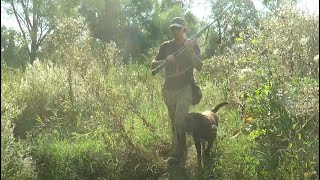 На Харківщині триває сезон полювання на пернату дичину