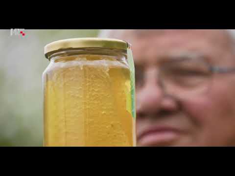 SIVA PČELA ( POVRATAK ŽIVOTINJAMA)