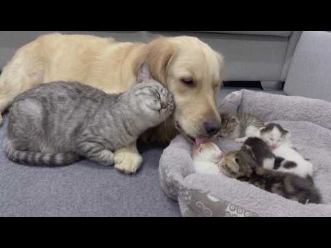 YouTube 썸네일
