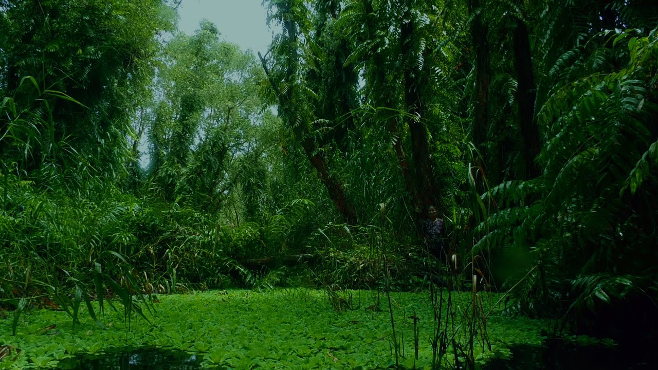 The Eternal Springtime – trailer | IFFR 2021