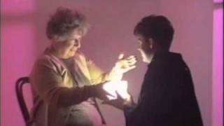 THE BONGOS - Numbers With Wings