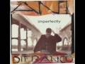 Imperfectly ~ Ani DiFranco ~ Imperfectly