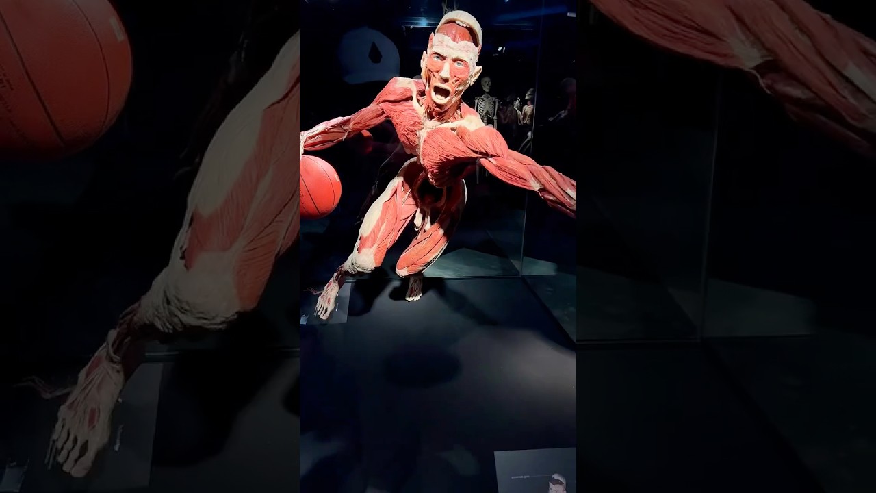 YouTube Short thumbnail