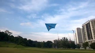 RC Electric Hang Glider