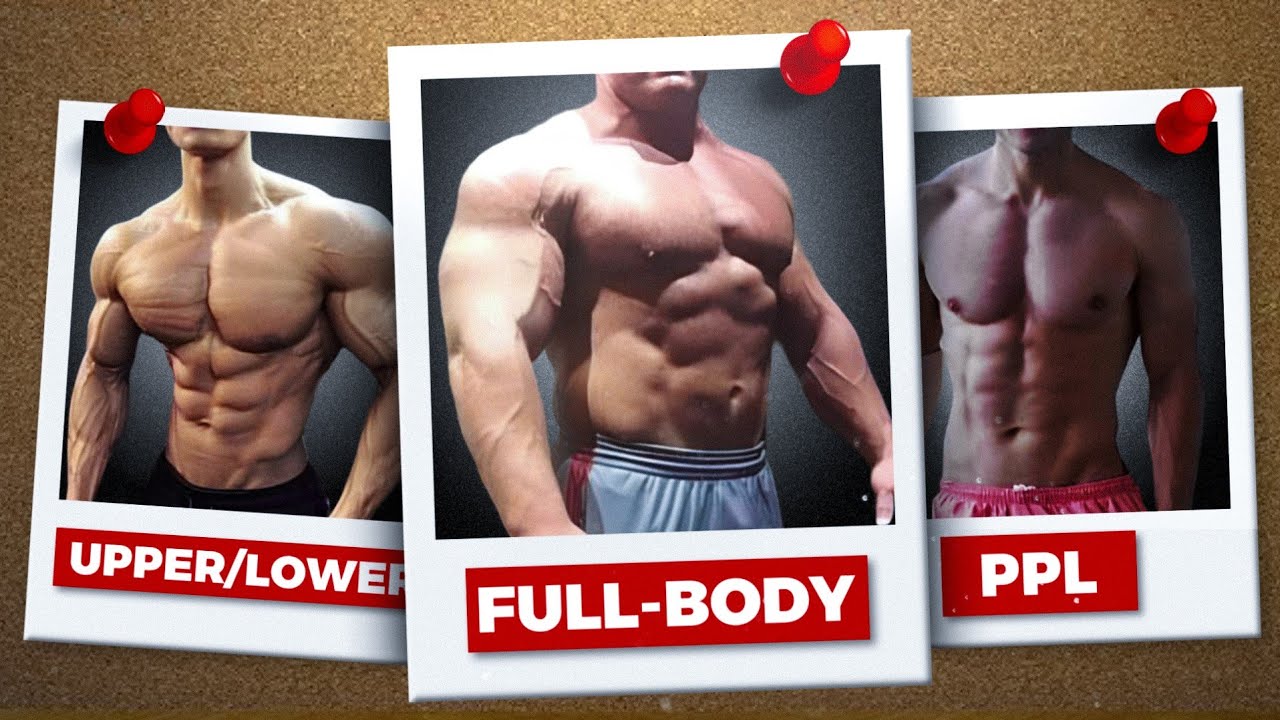 Como Montar seu Treino: Full-Body, Upper Lower e PPL | Exemplos de Planilhas