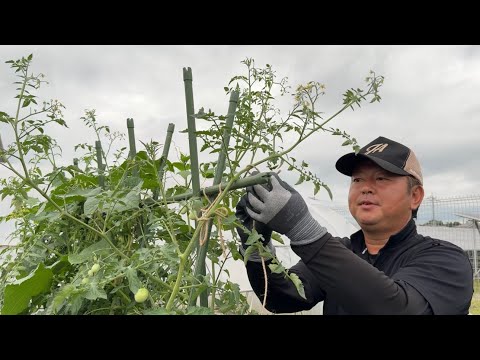 【パニック障害】半自給自足の生活をしたら予期不安が和らいだと思う　25/8/7