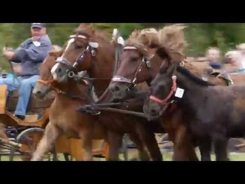 Formanský den Borová 2016