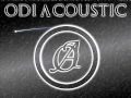 Odi Acoustic - Feeling This (Blink 182 Cover ...