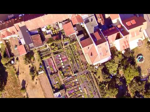 Die Hofstadt-Gärtnerei Bamberg von oben