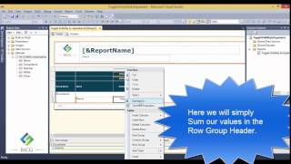 Toggle Visibility Show As Expanded + - in SSRS