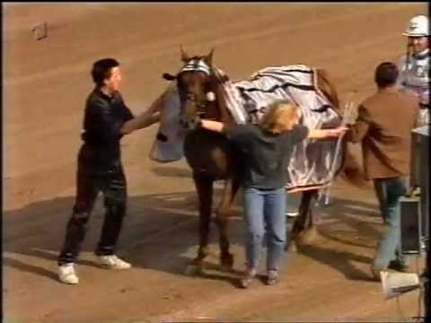 Deutsches Traberderby 1993